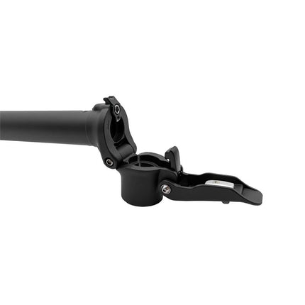 Originalmast Niu KQi2 pro