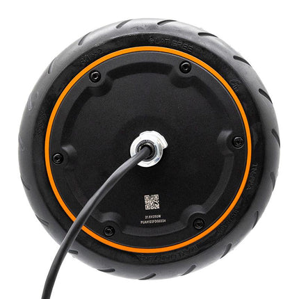 Motor 21,6V 250W Xiaomi Mi 4GO Original